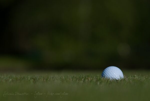 La balle de golf