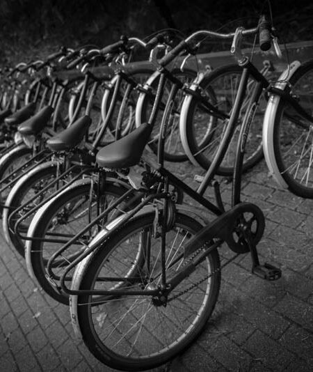 Alignement de vélo
