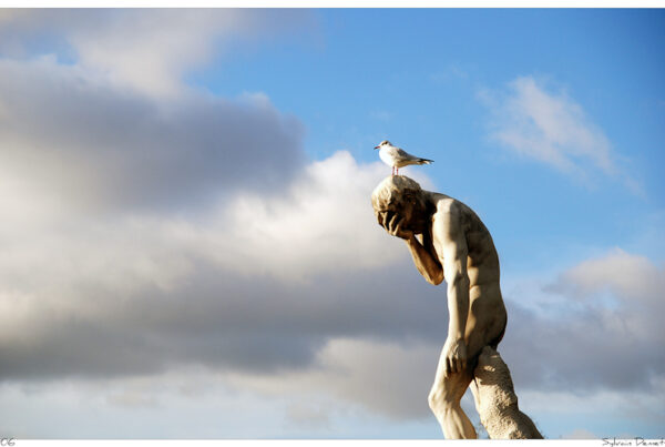 La statue et l'oiseau