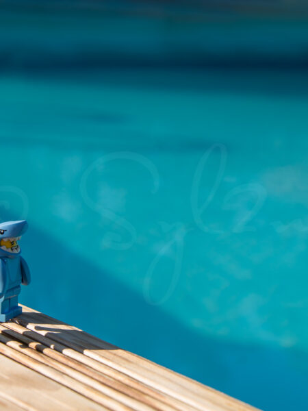 Lego Dauphin à la piscine
