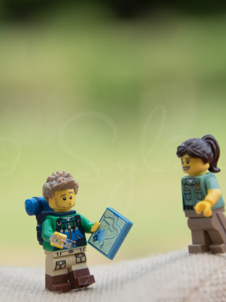 Lego l'aventurier perdu
