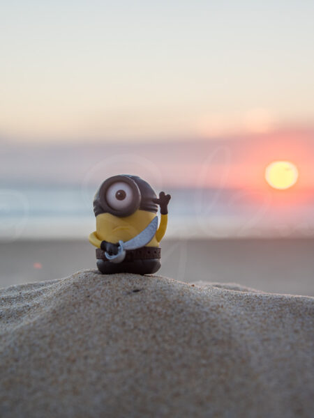 Minion corsaire sur la plage au coucher de soleil