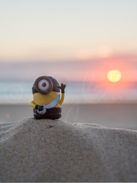 Minion corsaire sur la plage au coucher de soleil