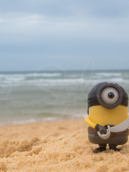 Minion corsaire à la plage