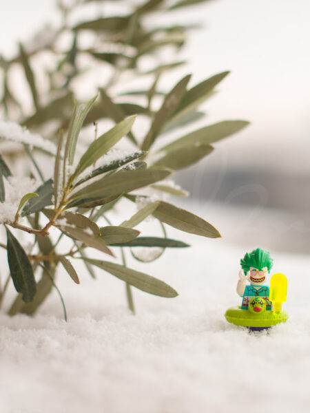 Joker Lego dans la neige