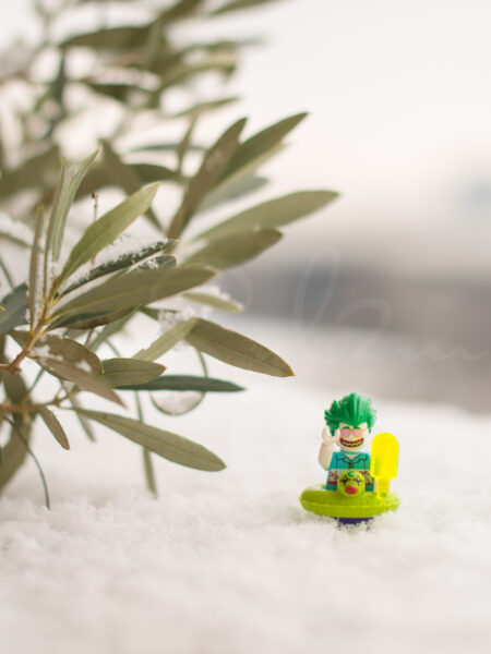 Joker Lego dans la neige