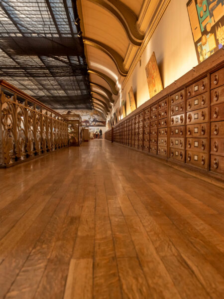 Galerie de Paléontologie et d’Anatomie comparée • Parquet musée
