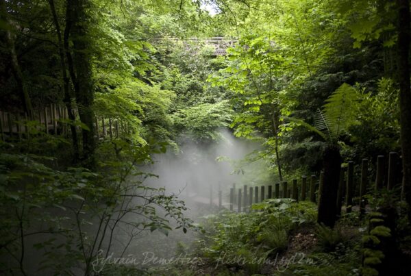 Le vallon des brumes