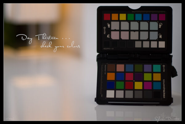 Projet 365 • Jour 13 • Vérifiez vos couleurs