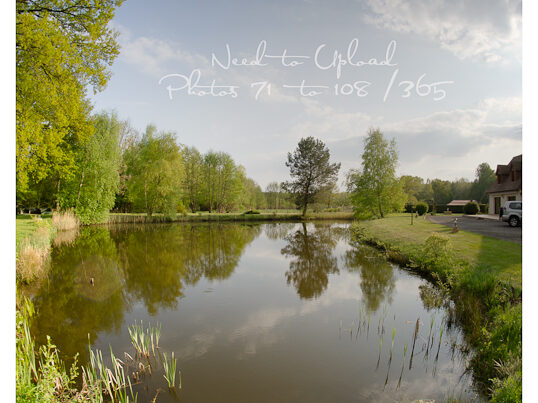 Nature - Photo 108/365