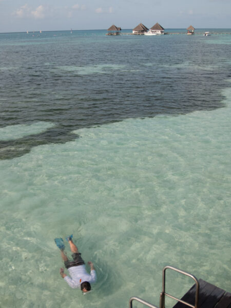Nager aux paradis