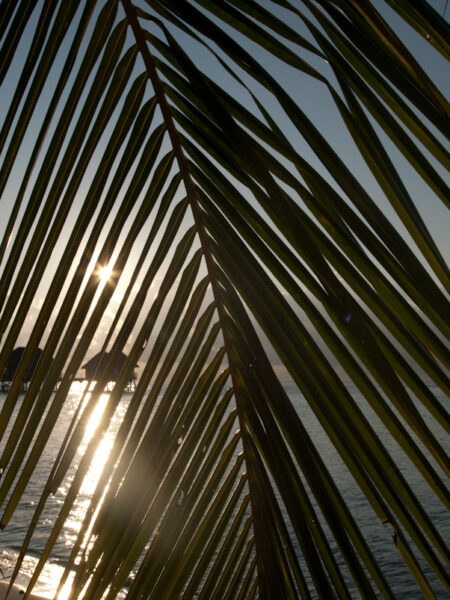 Coucher de soleil aux Maldives