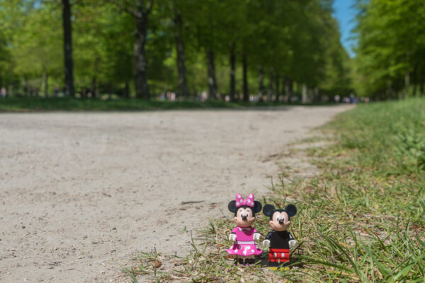 Lego • Versaille • Mickey et Mimi