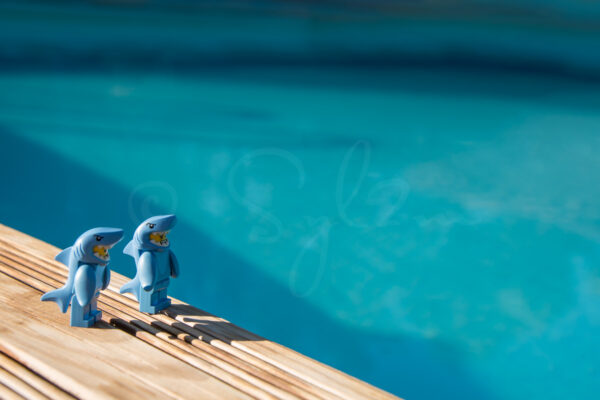 Lego Dauphin à la piscine