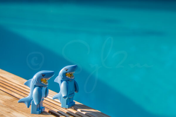 Lego Dauphin à la piscine
