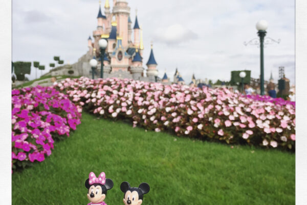 Lego • Disney • Mickey et Mimi