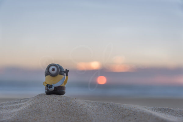 Minion corsaire sur la plage au coucher de soleil
