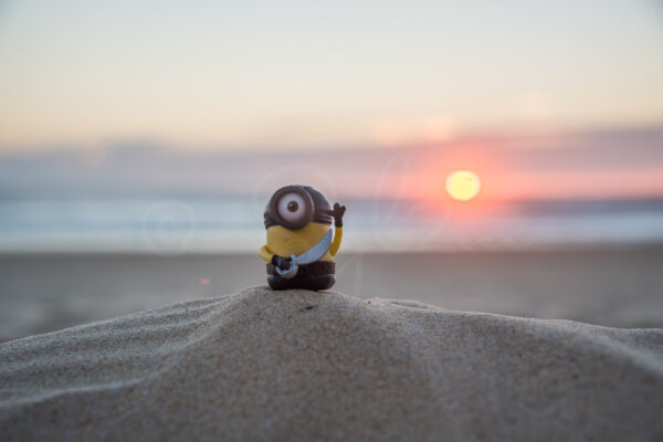 Minion corsaire sur la plage au coucher de soleil