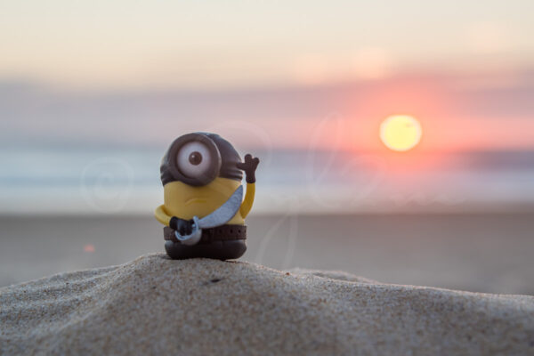 Minion corsaire sur la plage au coucher de soleil