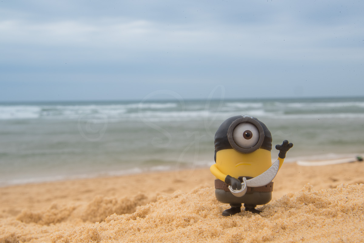 Minion corsaire à la plage
