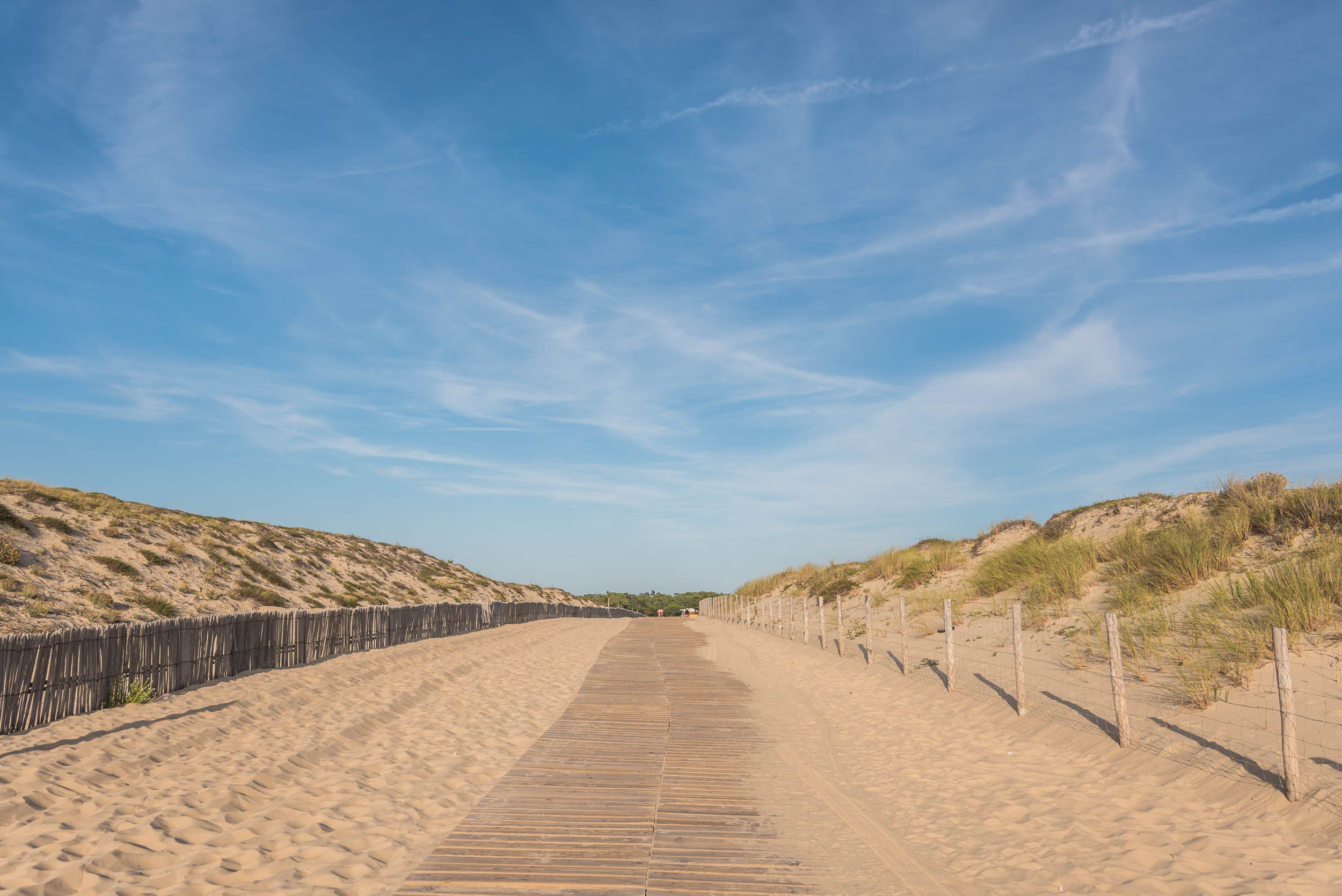 Chemin dans les dunes