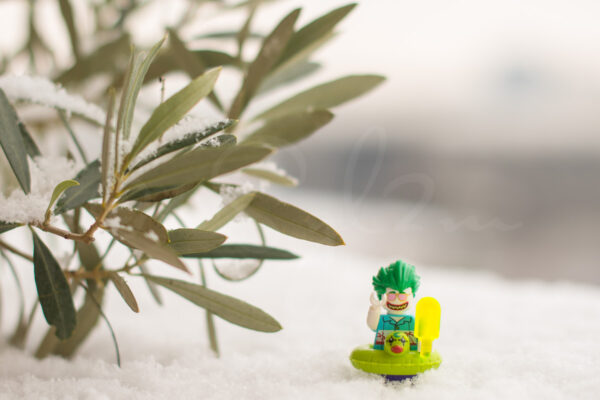 Joker Lego dans la neige