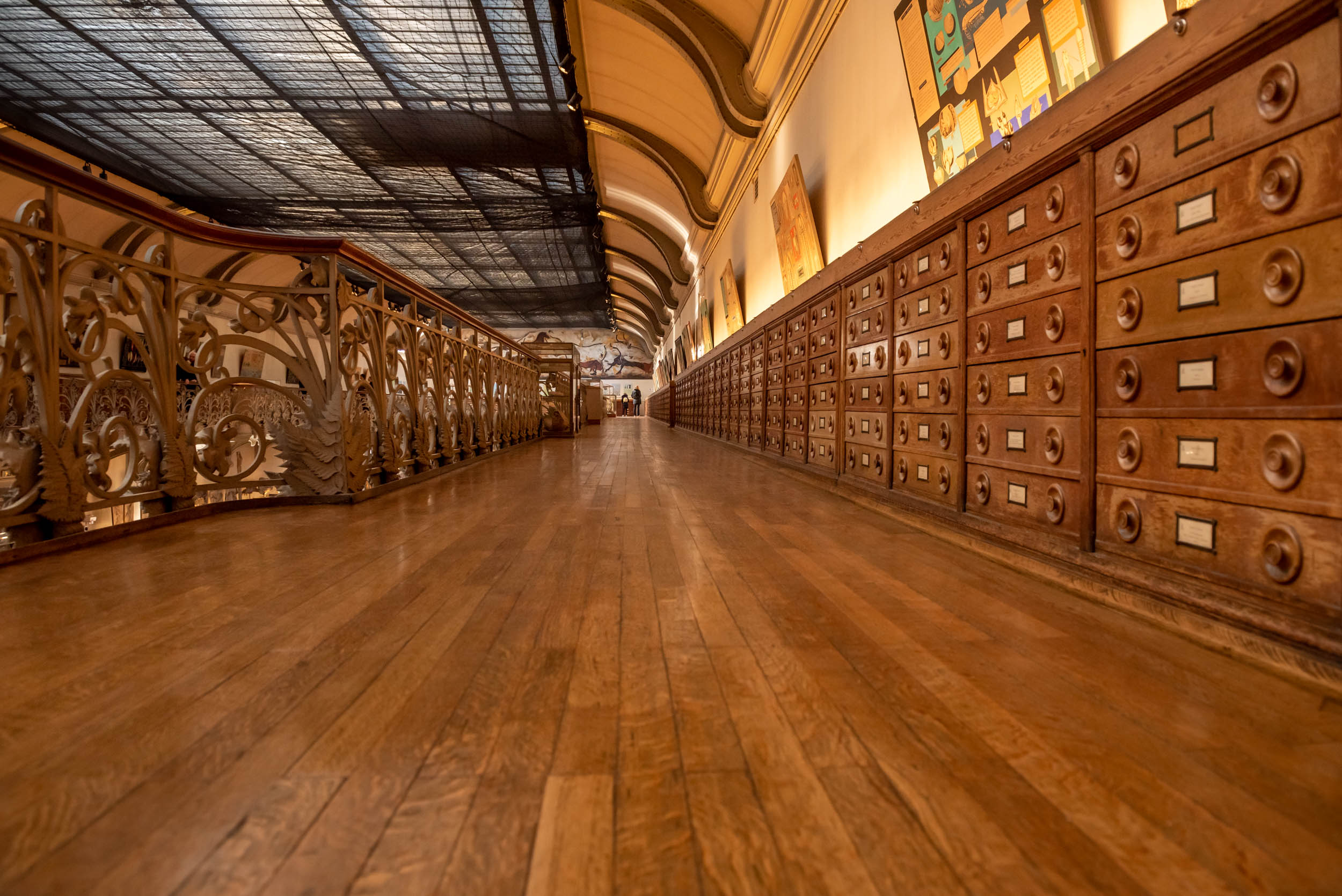 Galerie de Paléontologie et d’Anatomie comparée • Parquet musée
