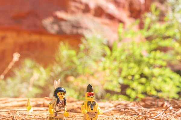 Lego - Indiens