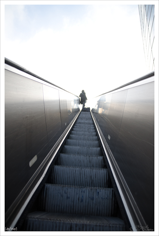 Projet 365 • Jour 42 • Escalator